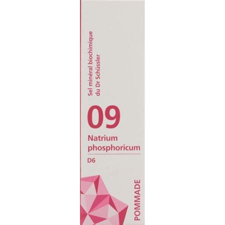 PHYTOMED SCH&Uuml;SSLER Nr9 sodium phosphoricum ointment D 6 75 g - PrimeCare Global