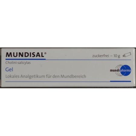 Mundisal Gel tube 10 g - PrimeCare Global