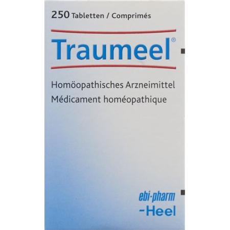 Traumeel tablets can 250 pcs - PrimeCare Global