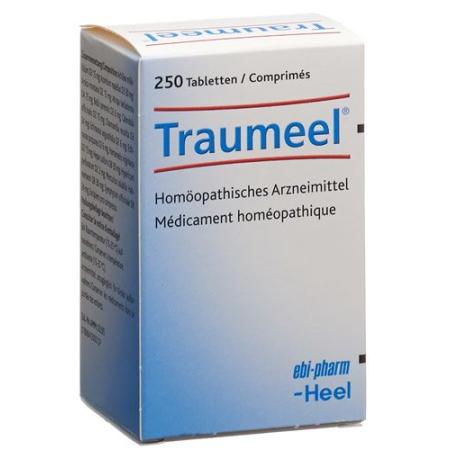 Traumeel tablets can 250 pcs - PrimeCare Global