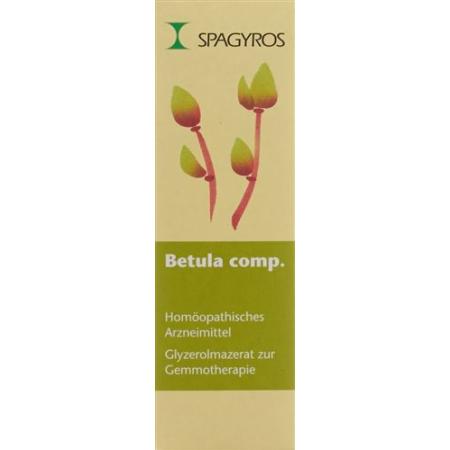 Spagyros Gemmo Betula comp Glyc Maz D 1 30 ml - PrimeCare Global