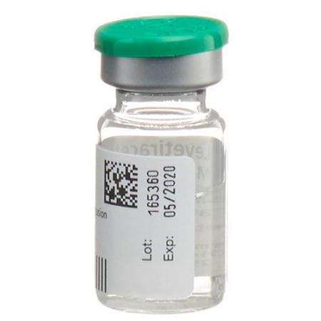 Levetiracetam-Mepha Inf Conc 500mg/5ml 10 fl. 5ml - PrimeCare Global