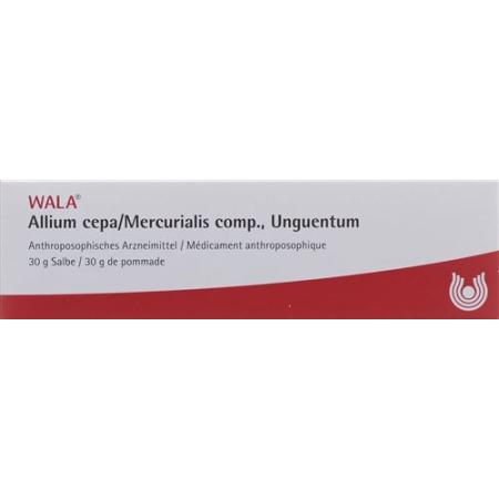 Wala Allium cepa/Mercurialis comp. Ointment Tb 30 g - PrimeCare Global