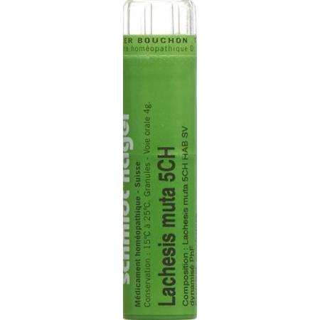 SN Lachesis muta Gran CH 5 4g - PrimeCare Global