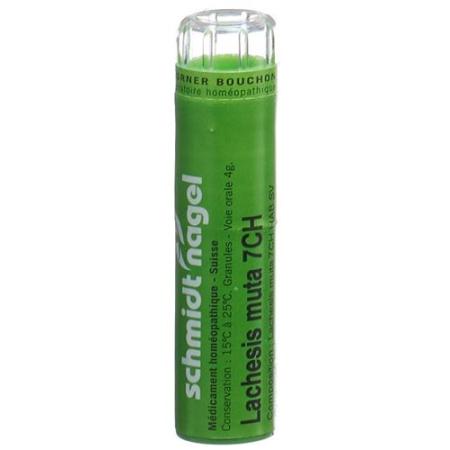 SN Lachesis muta Gran CH 7 4g - PrimeCare Global