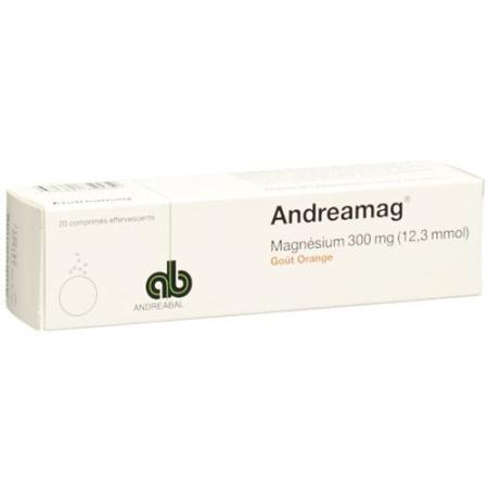 Andreamag effervescent tablet 300 mg with orange flavor 20 pcs - PrimeCare Global