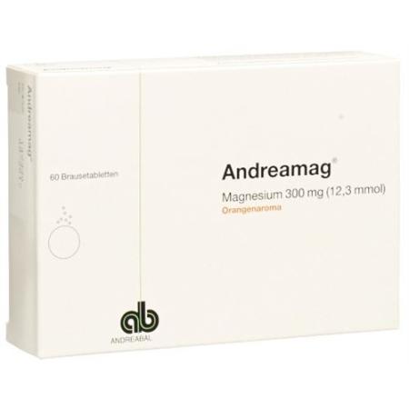 Andreamag effervescent tablet 300 mg with orange flavor 60 pcs - PrimeCare Global