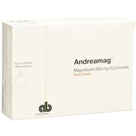 Andreamag effervescent tablet 300 mg with orange flavor 60 pcs - PrimeCare Global