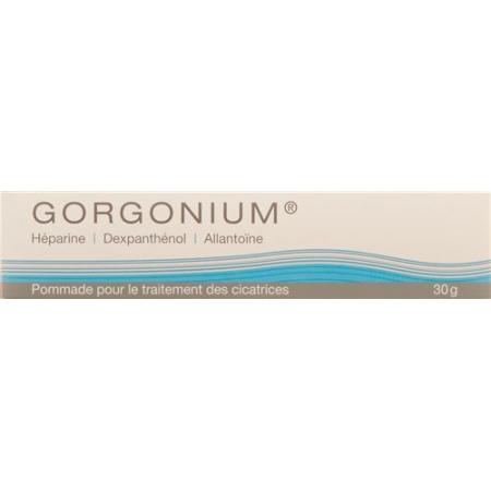 Gorgonium Ointment tube 30 g - PrimeCare Global