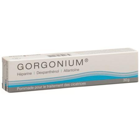 Gorgonium Ointment tube 30 g - PrimeCare Global