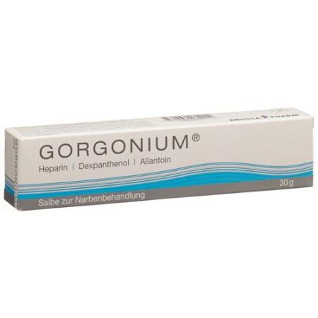 Gorgonium Ointment tube 30 g - PrimeCare Global