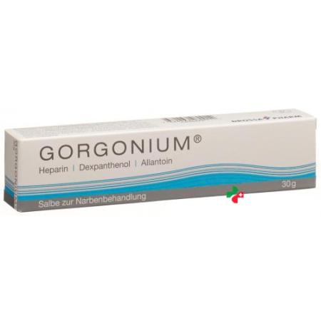 Gorgonium Ointment tube 30 g - PrimeCare Global