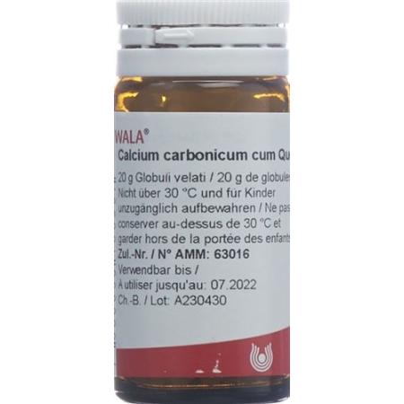 Wala Calcium carbonicum cum Quercu Glob D 6 20 g - PrimeCare Global