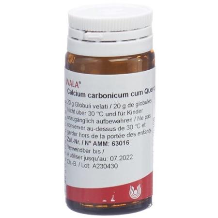 Wala Calcium carbonicum cum Quercu Glob D 6 20 g - PrimeCare Global