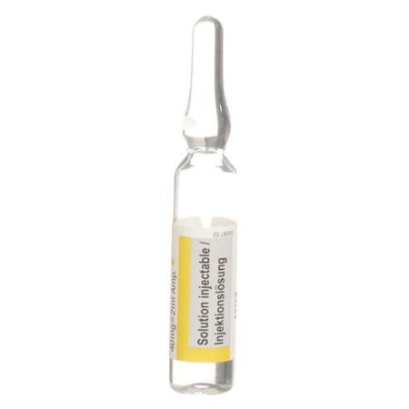 Rapidocain 2% Inj L&ouml;s 40 mg/2ml without preservatives 10 amp - PrimeCare Global