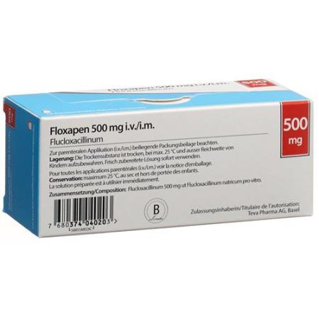 Floxapen dry sub 500 mg through 10 pcs - PrimeCare Global