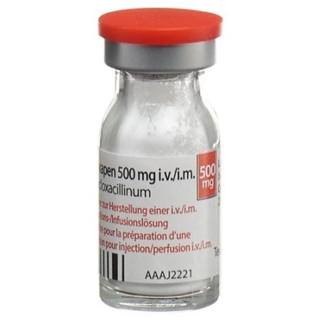 Floxapen dry sub 500 mg through 10 pcs - PrimeCare Global