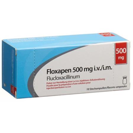 Floxapen dry sub 500 mg through 10 pcs - PrimeCare Global