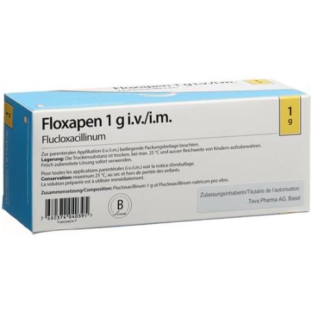 Floxapen dry sub 1 g permeate 10 pcs - PrimeCare Global