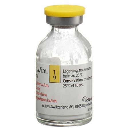 Floxapen dry sub 1 g permeate 10 pcs - PrimeCare Global