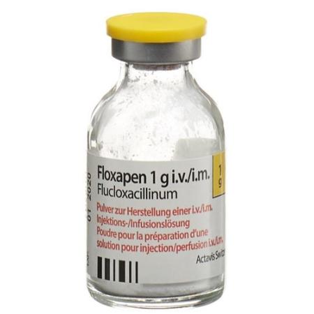 Floxapen dry sub 1 g permeate 10 pcs - PrimeCare Global