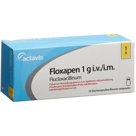 Floxapen dry sub 1 g permeate 10 pcs - PrimeCare Global