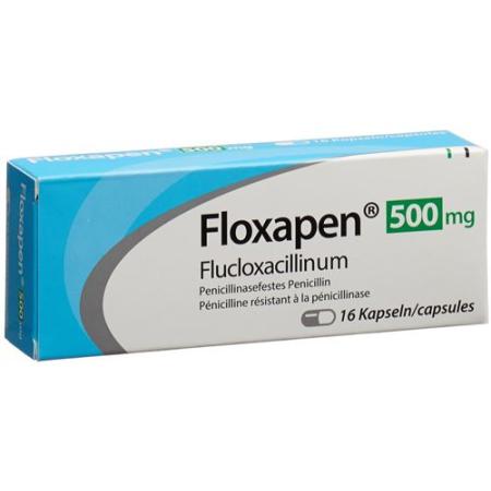 Floxapen Capsules 500 mg 16 pcs - PrimeCare Global