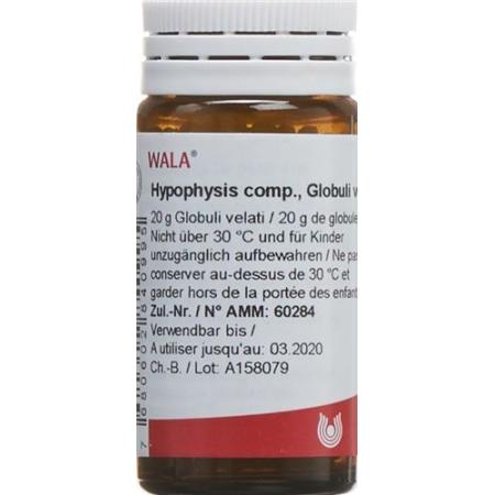 Wala hypophysis comp. Globe 20g - PrimeCare Global