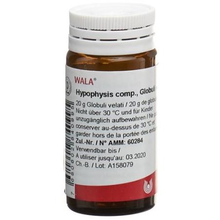 Wala hypophysis comp. Globe 20g - PrimeCare Global