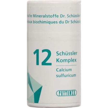 PHYTOMED SCH&Uuml;SSLER Complex Nr12 Tabl Ds 300 pcs - PrimeCare Global
