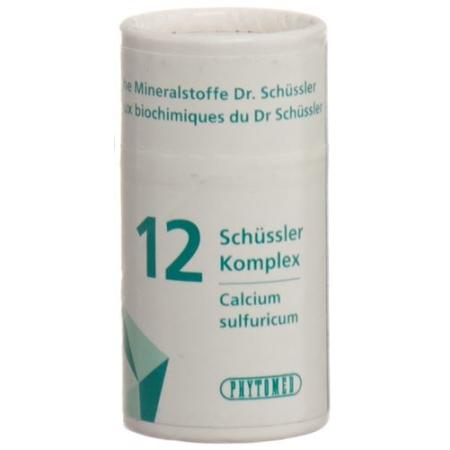 PHYTOMED SCH&Uuml;SSLER Complex Nr12 Tabl Ds 300 pcs - PrimeCare Global