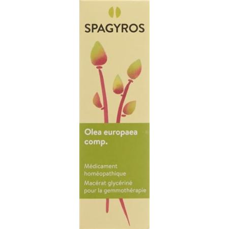 Spagyros Gemmo Comp Olea europaea Glyc Maz D 1 30 ml - PrimeCare Global
