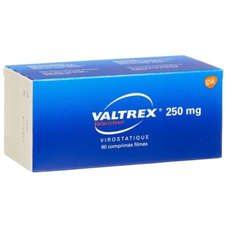 Valtrex Filmtablet 250 mg 60 pcs - PrimeCare Global