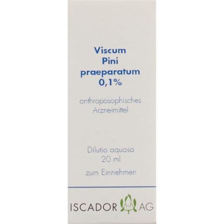 Iscador Viscum Pini praeparatum 0.1% Dilutio aquosa 20 ml - PrimeCare Global