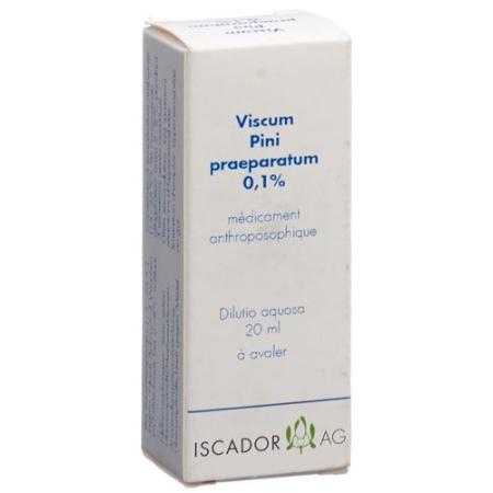 Iscador Viscum Pini praeparatum 0.1% Dilutio aquosa 20 ml - PrimeCare Global