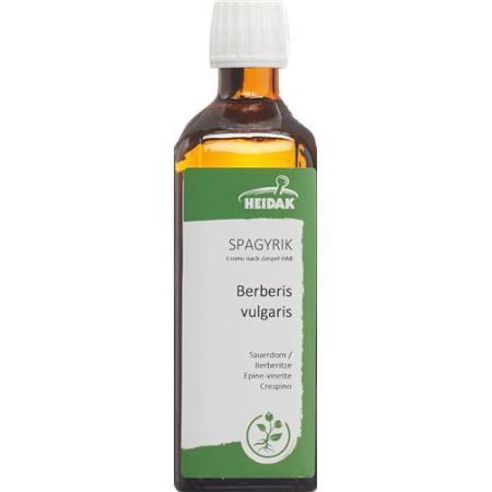 HEIDAK SPAGYRIK Berberis vulgaris bottle 250 ml - PrimeCare Global