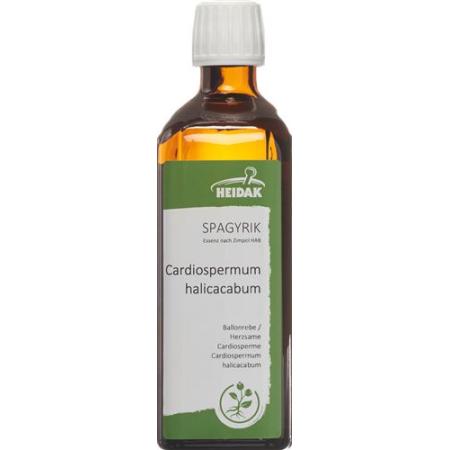 HEIDAK SPAGYRIK Cardiospermum halicacabum Bottle 250 ml - PrimeCare Global