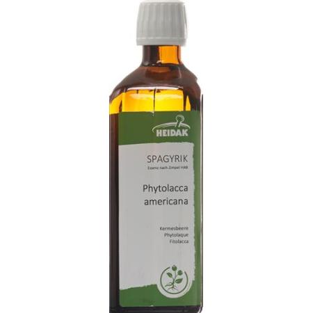 HEIDAK SPAGYRIK Phytolacca americana bottle 250 ml - PrimeCare Global
