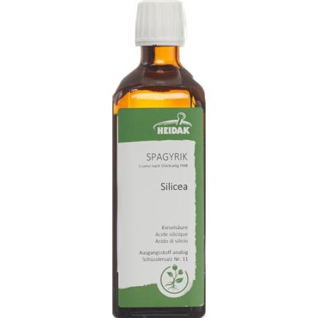 HEIDAK SPAGYRIK Silicea Bottle 250 ml - PrimeCare Global