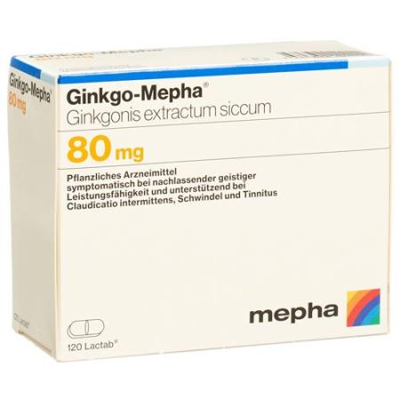 Ginkgo-Mepha Lactab 80 mg 120 pcs - PrimeCare Global