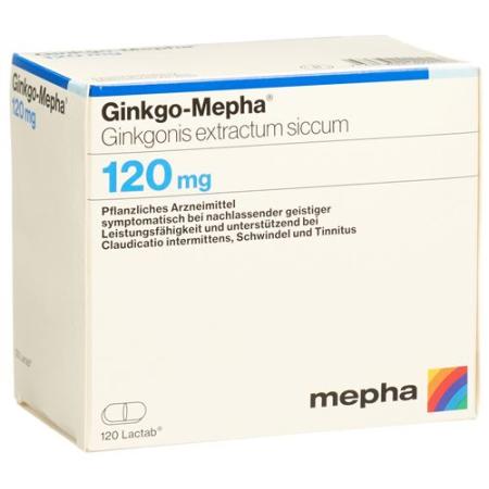 Ginkgo-Mepha Lactab 120 mg 120 pcs - PrimeCare Global