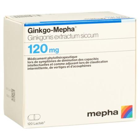 Ginkgo-Mepha Lactab 120 mg 120 pcs - PrimeCare Global