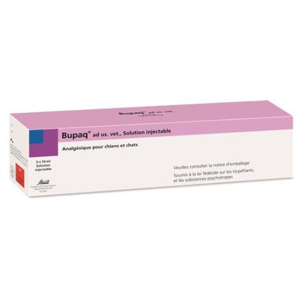  - PrimeCare Global