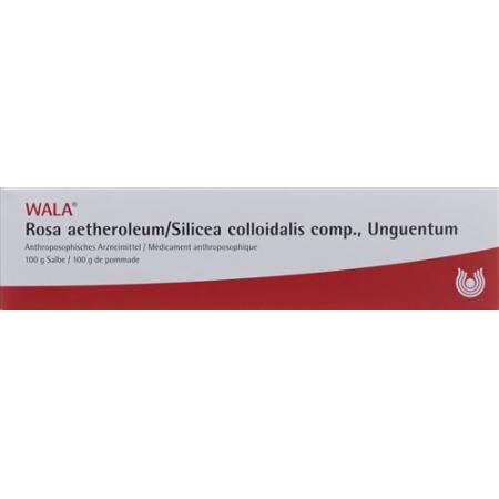 Wala Rosae aetherolum/Silicea colloidalis ointment comp. Tb 100 g - PrimeCare Global