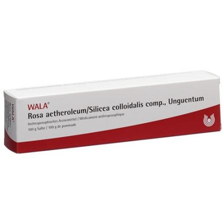 Wala Rosae aetherolum/Silicea colloidalis ointment comp. Tb 100 g - PrimeCare Global