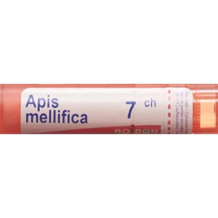 Boiron Apis mellifica Gran C 7 4g - PrimeCare Global