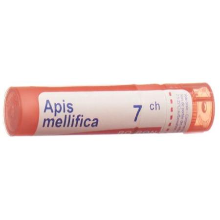 Boiron Apis mellifica Gran C 7 4g - PrimeCare Global