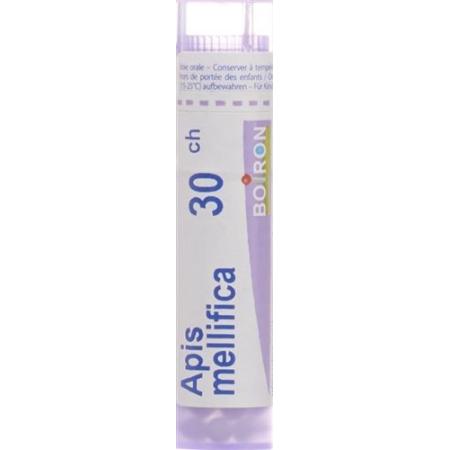 Boiron Apis mellifica Gran C 30 4g - PrimeCare Global