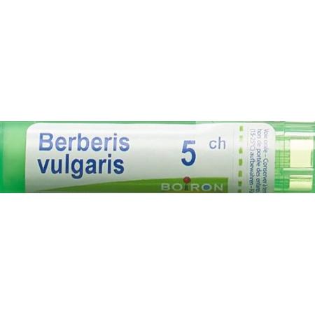 Boiron Berberis vulgaris Gran C5 4g - PrimeCare Global