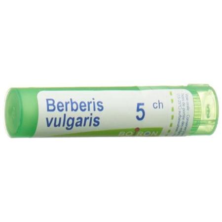 Boiron Berberis vulgaris Gran C5 4g - PrimeCare Global